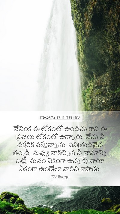 యోహాను 17:11 TELIRV Bible Verse Image