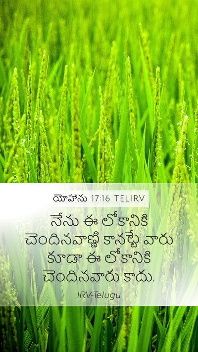 యోహాను 17:16 TELIRV Bible Verse Image