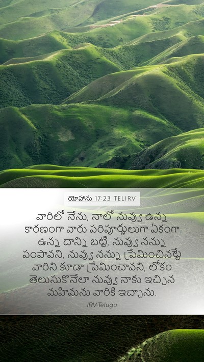 యోహాను 17:23 TELIRV Bible Verse Image