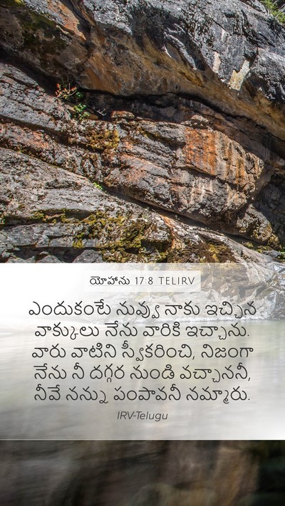 యోహాను 17:8 TELIRV Bible Verse Image