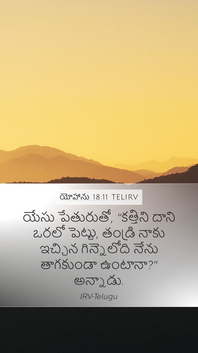 యోహాను 18:11 TELIRV Bible Verse Image