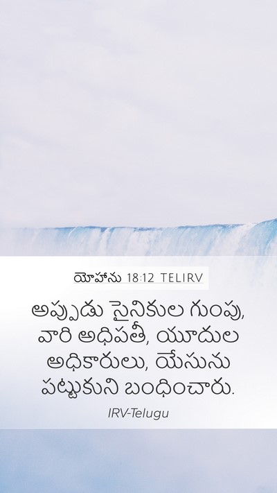 యోహాను 18:12 TELIRV Bible Verse Image