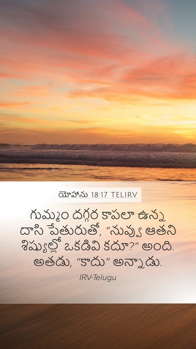 యోహాను 18:17 TELIRV Bible Verse Image