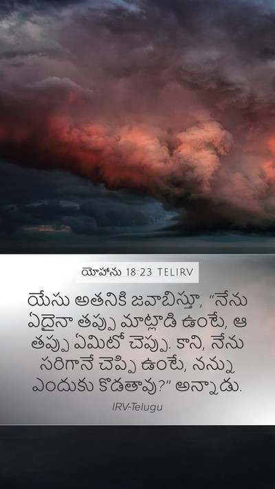 యోహాను 18:23 TELIRV Mobile Phone Wallpaper - యేసు అతనికి - Mobile Bible Verse Wallpaper