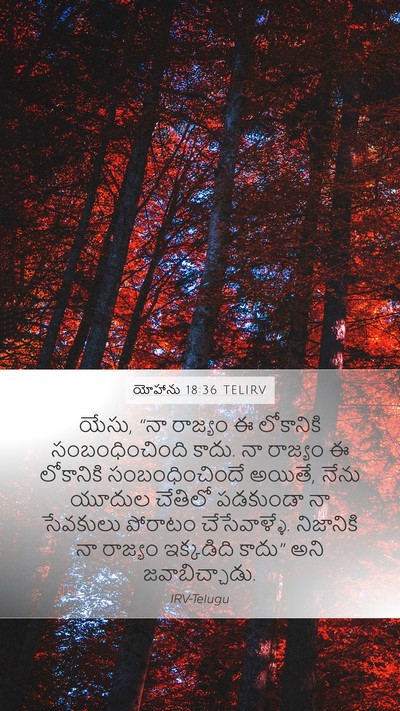 యోహాను 18:36 TELIRV Bible Verse Image