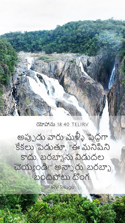 యోహాను 18:40 TELIRV Bible Verse Image
