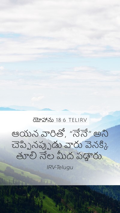 యోహాను 18:6 TELIRV Bible Verse Image