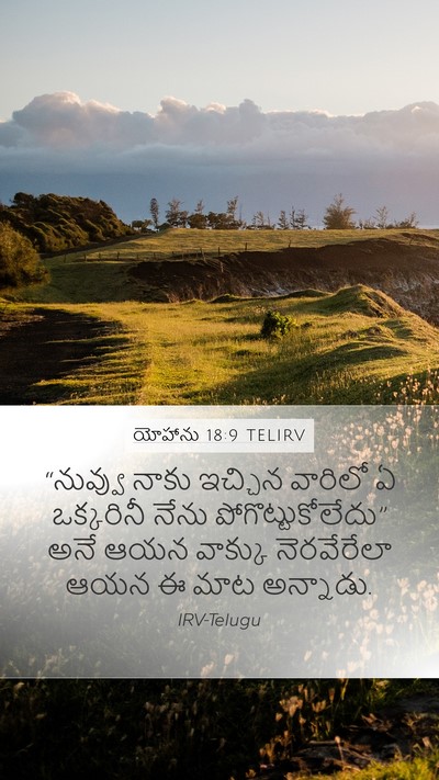 యోహాను 18:9 TELIRV Bible Verse Image