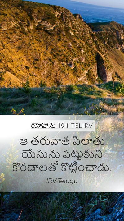 యోహాను 19:1 TELIRV Bible Verse Image