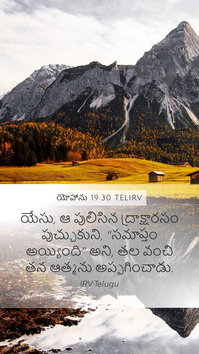 యోహాను 19:30 TELIRV Bible Verse Image