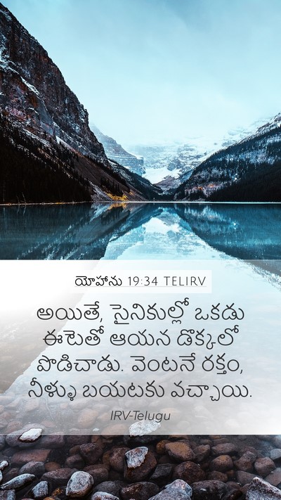యోహాను 19:34 TELIRV Bible Verse Image