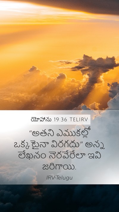 యోహాను 19:36 TELIRV Bible Verse Image