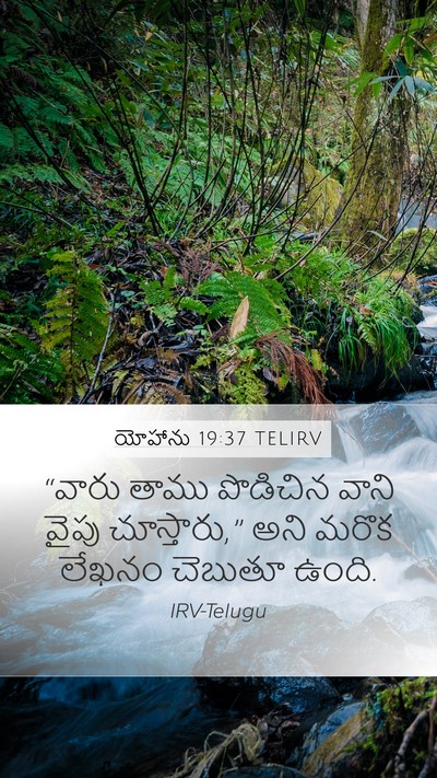 యోహాను 19:37 TELIRV Bible Verse Image