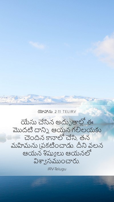 యోహాను 2:11 TELIRV Bible Verse Image