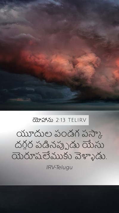 యోహాను 2:13 TELIRV Bible Verse Image