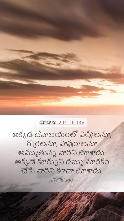 యోహాను 2:14 TELIRV Bible Verse Image