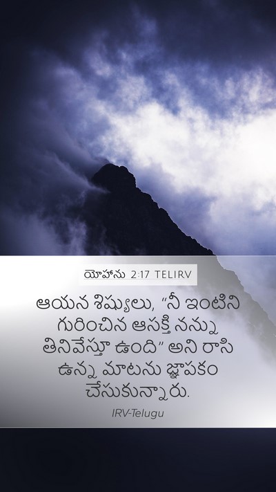యోహాను 2:17 TELIRV Bible Verse Image