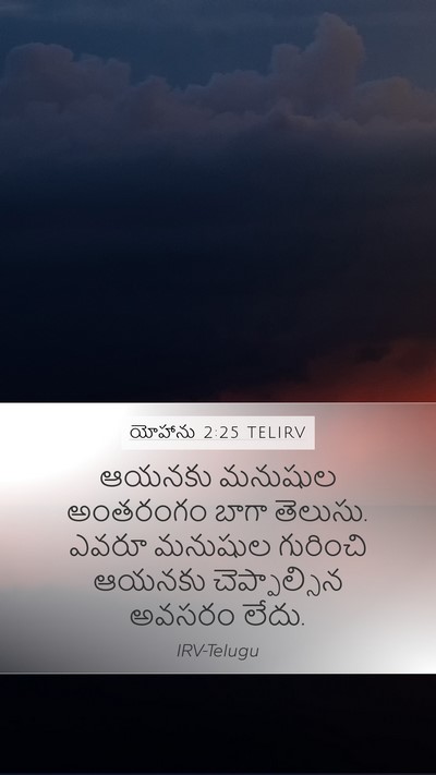 యోహాను 2:25 TELIRV Bible Verse Image