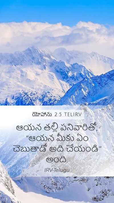 యోహాను 2:5 TELIRV Bible Verse Image