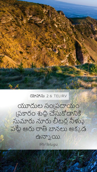 యోహాను 2:6 TELIRV Bible Verse Image