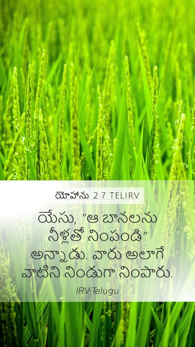 యోహాను 2:7 TELIRV Mobile Phone Wallpaper - యేసు, “ఆ బానలను - Mobile Bible Verse Wallpaper