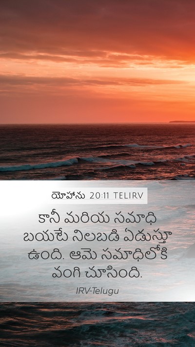 యోహాను 20:11 TELIRV Bible Verse Image