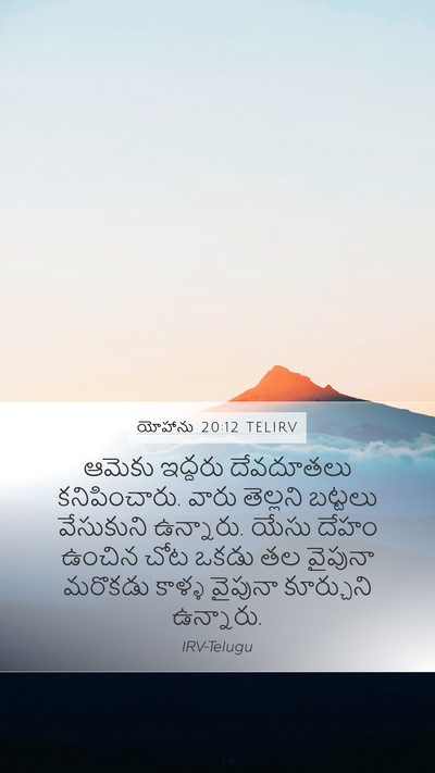 యోహాను 20:12 TELIRV Bible Verse Image