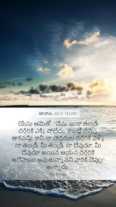 యోహాను 20:17 TELIRV Bible Verse Image