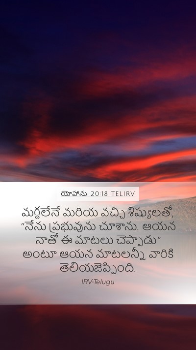 యోహాను 20:18 TELIRV Bible Verse Image