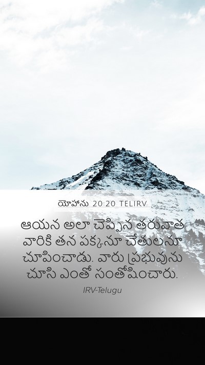 యోహాను 20:20 TELIRV Bible Verse Image