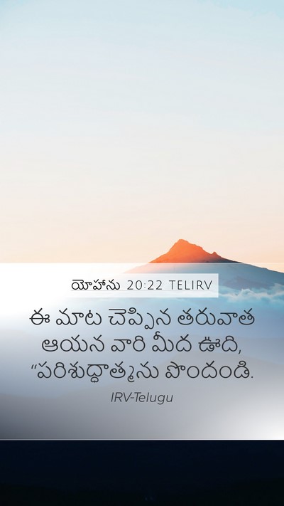 యోహాను 20:22 TELIRV Bible Verse Image