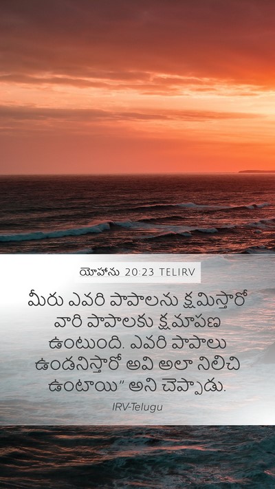 యోహాను 20:23 TELIRV Bible Verse Image
