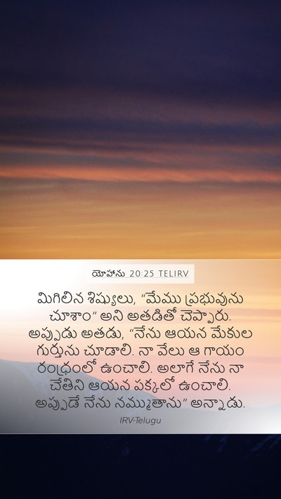 యోహాను 20:25 TELIRV Bible Verse Image