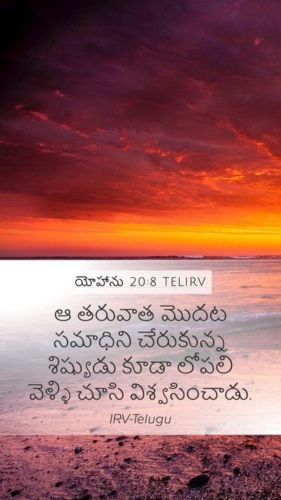 యోహాను 20:8 TELIRV Bible Verse Image