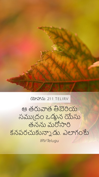 యోహాను 21:1 TELIRV Bible Verse Image