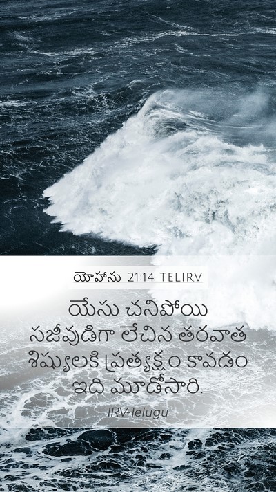 యోహాను 21:14 TELIRV Bible Verse Image