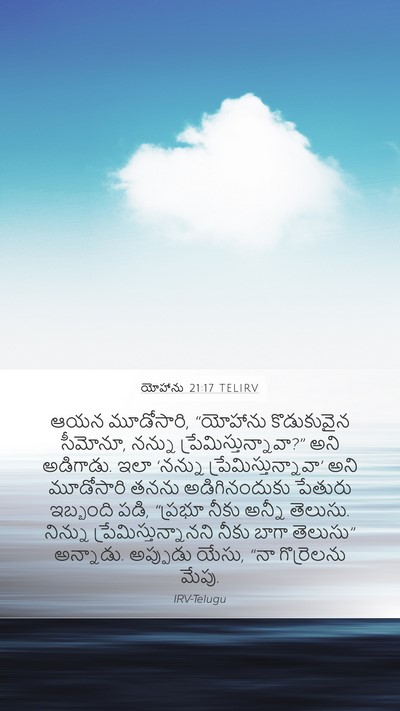 యోహాను 21:17 TELIRV Bible Verse Image