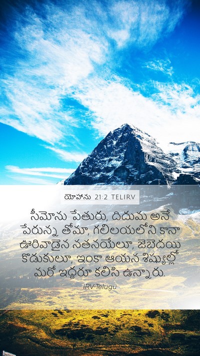 యోహాను 21:2 TELIRV Bible Verse Image