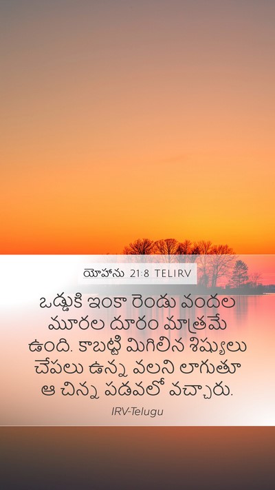 యోహాను 21:8 TELIRV Bible Verse Image
