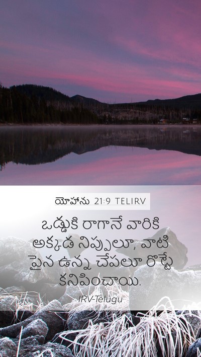 యోహాను 21:9 TELIRV Bible Verse Image