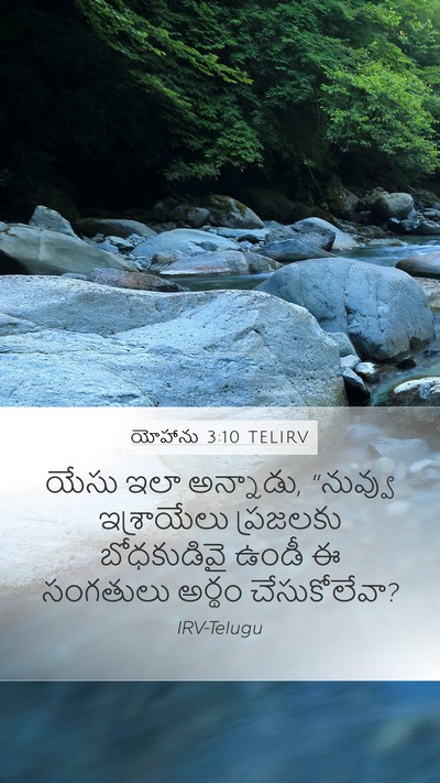 యోహాను 3:10 TELIRV Bible Verse Image