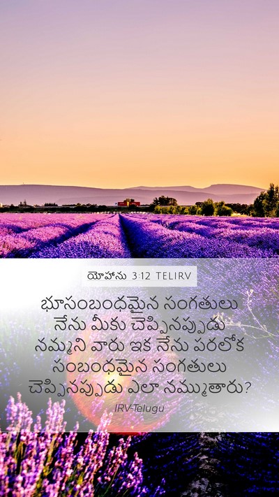 యోహాను 3:12 TELIRV Bible Verse Image