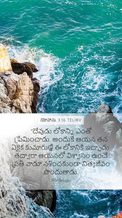 యోహాను 3:16 TELIRV Bible Verse Image