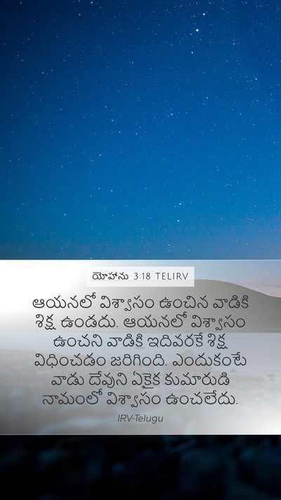 యోహాను 3:18 TELIRV Bible Verse Image