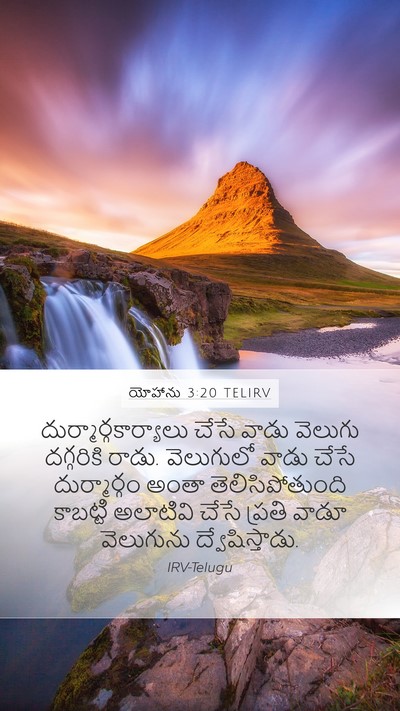 యోహాను 3:20 TELIRV Bible Verse Image