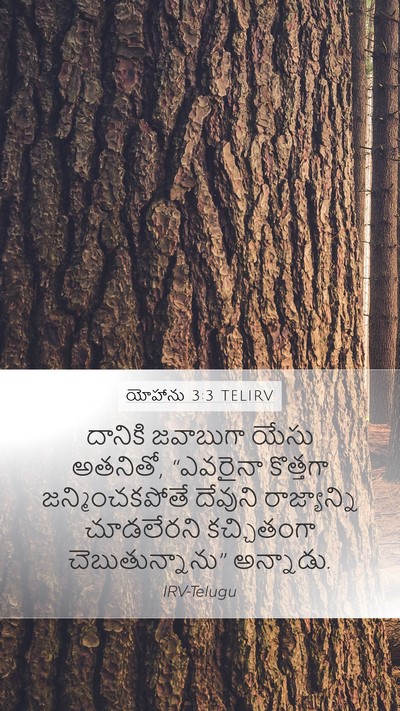 యోహాను 3:3 TELIRV Bible Verse Image