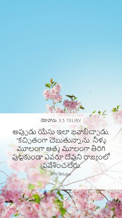 యోహాను 3:5 TELIRV Bible Verse Image