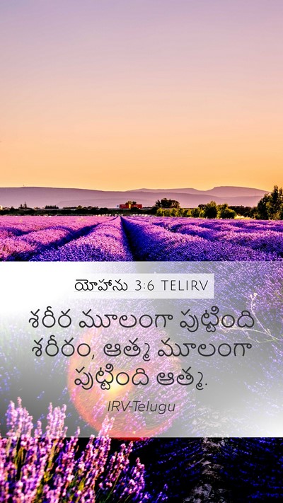 యోహాను 3:6 TELIRV Bible Verse Image