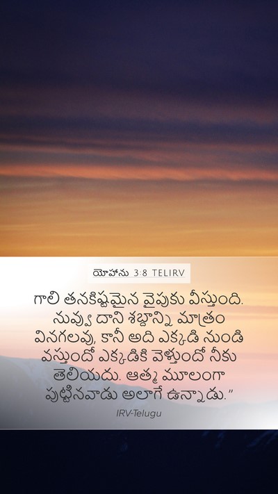 యోహాను 3:8 TELIRV Bible Verse Image