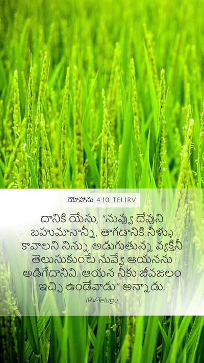 యోహాను 4:10 TELIRV Bible Verse Image
